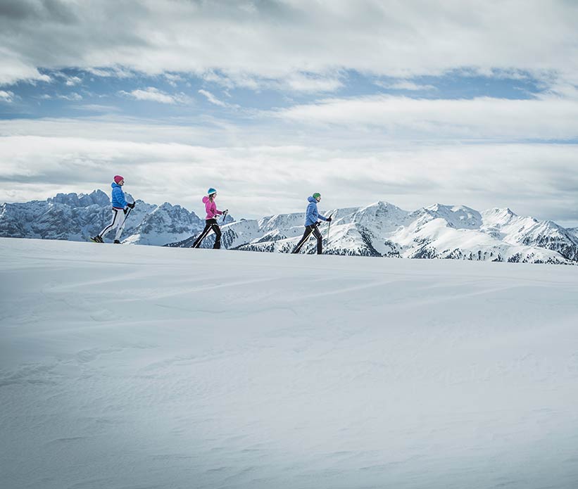 Rental of snowshoes